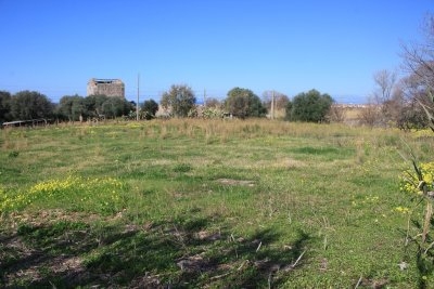 Terreno edificabile indice 1,50 e terreno agricolo pianeggiante