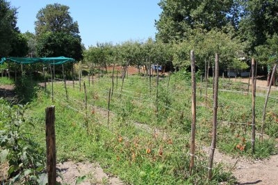 Appartamento residenziale con vista mare
