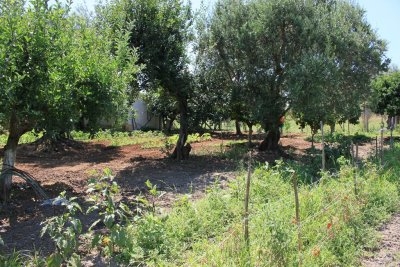 Appartamento residenziale con vista mare