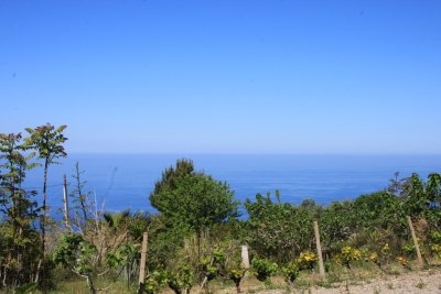 IMG_0356