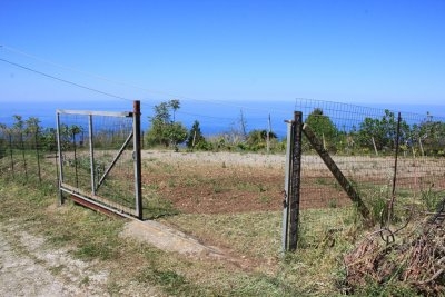 IMG_0364