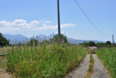 Terreno edificabile in zona panoramica