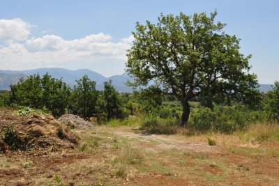 Terreno edificabile in zona panoramica