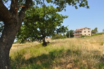 Terreno edificabile in zona panoramica