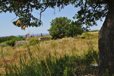 Terreno edificabile in zona panoramica